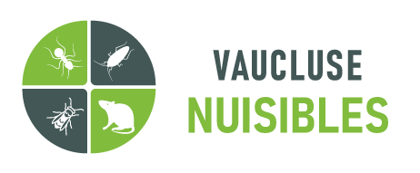 Vaucluse Nuisibles
